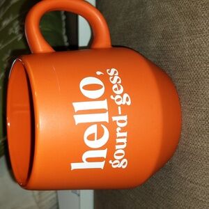 Mug Orange Thanksgiving Fall Autumn Cup Planter Gorgeous Novelty